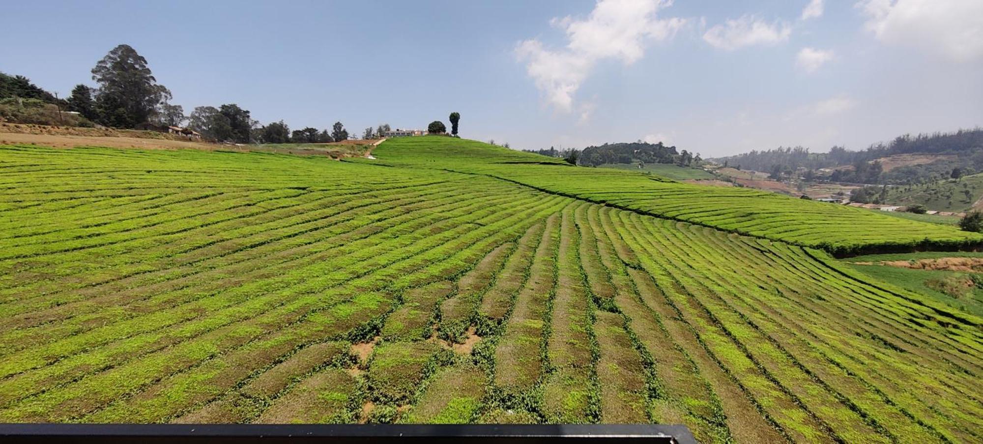 Rose Garden Enclave For Families & Executives Bed & Breakfast Ooty Exterior photo