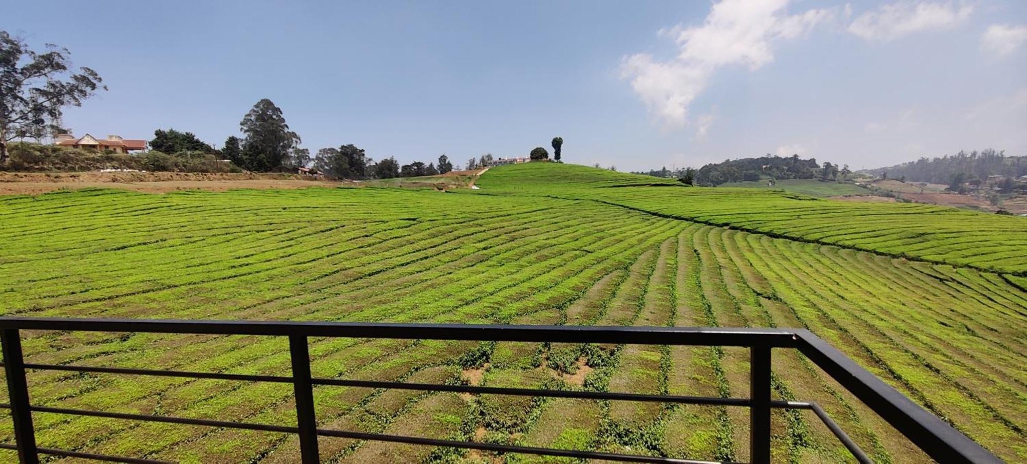 Rose Garden Enclave For Families & Executives Bed & Breakfast Ooty Exterior photo